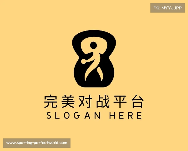 认识完美对战平台
